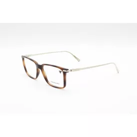 Ferragamo férfi Szemüvegkeret SF2977 240