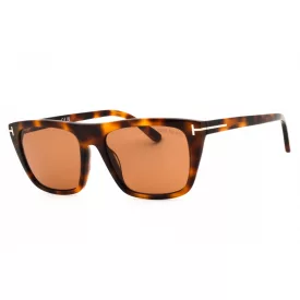 Tom Ford FT1175 napszemüveg blonde barna / barna férfi