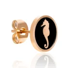 Amelia Parker női ékszer fülbevaló ékszer AE004R /kampapl