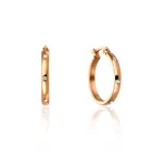 Amelia Parker női ékszer fülbevaló ékszer AE005R /kampapl