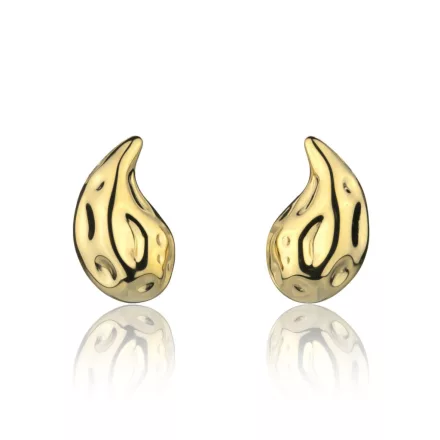 Amelia Parker női ékszer fülbevaló ékszer AE021G /kampapl