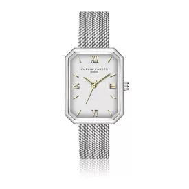 Amelia Parker női óra karóra  AH1-B014S /kampapl