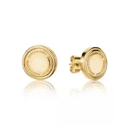 Isabella Ford női ékszer fülbevaló ékszer FE006G /kampapl