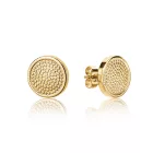 Isabella Ford női ékszer fülbevaló ékszer FE007G /kampapl