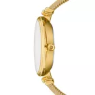 Isabella Ford női óra karóra  FE9-B034G /kampapl