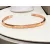Daniel Wellington kis méretű 15 cm női ékszer karkötő DW00400001 /kampcri várható érkezés:05.05