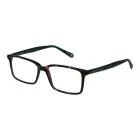 Ted Baker szemüvegkeret TB8118 145 52 férfi 