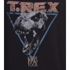 RE:fedett X Jurassic Park férfi pulóver  "T-Rex 1993 Vintage" Print pulóver MMUNV2456 fekete Méret: S