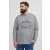 klasszikus BLEND BHDopper BT férfi longsleeve  kerek nyakú hosszú-újj Ing Plus sizes 20713446ME-200274 szürke Méret: 3XL