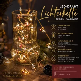   LICHTMOMENTE fényfüzér, 2,2 méter, 20 melegfehér mikro-LED, arany, 7566784