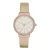 Skagen Női óra karóra Ancher bőr SKW2481
