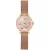 Pierre Cardin Női óra karóra Canal St Martin nemesacél CCM.0501