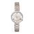 Plein Sport Női óra analóg TIGER LUXE PSMBA0423 nemesacél