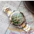 Roamer férfi óra karóra 850837-47-75-20