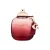 Coach Wild Rose EDP parfüm nőknek 90 ml