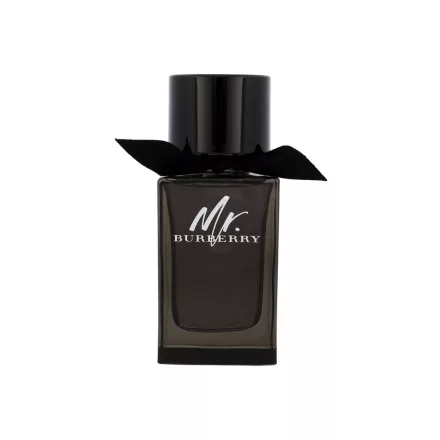 Burberry Mr. Burberry EDP parfüm férfiaknak 100 ml