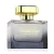 New Brand Parfums Prestige Classic Oud EDP parfüm nőknek 100 ml