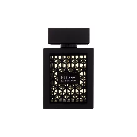 Rave Now EDP parfüm férfiaknak 100 ml