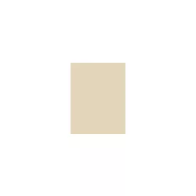   Inebrya Bionic Color hajfesték 10/13 Blonde Platinum Beige 100 ml