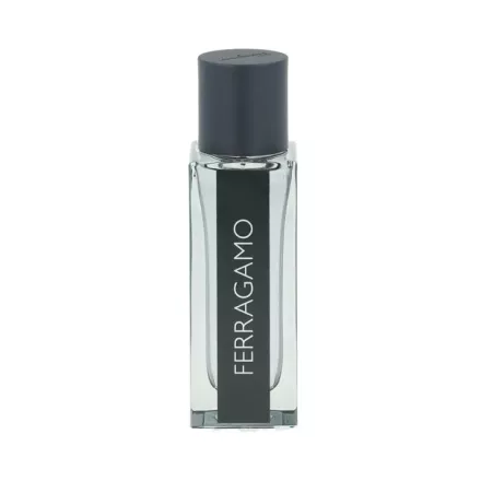 Ferragamo Ferragamo EDT parfüm férfiaknak 30 ml