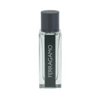 Ferragamo Ferragamo EDT parfüm férfiaknak 30 ml