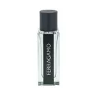 Ferragamo Ferragamo EDT parfüm férfiaknak 30 ml