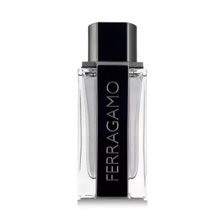 Ferragamo Ferragamo EDT parfüm férfiaknak 100 ml