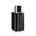 Ferragamo Ferragamo Sublime Leather EDP parfüm férfiaknak 100 ml