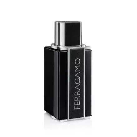 Ferragamo Ferragamo Sublime Leather EDP parfüm férfiaknak 100 ml