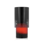 Trussardi Primo EDP parfüm férfiaknak 100 ml