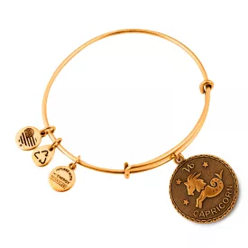 ALEX és ANI női Karkötő JEWELER''S A07EB40CARG