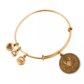 ALEX és ANI női Karkötő JEWELER''S A07EB40CNRG