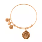 ALEX és ANI női Karkötő JEWELER''S A12EB46RG