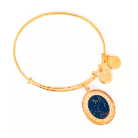 ALEX és ANI női Karkötő JEWELER''S A15EB61YG