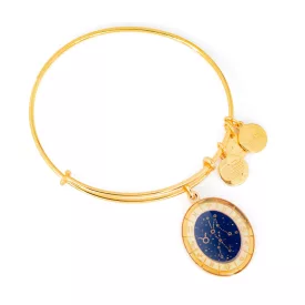 ALEX és ANI női Karkötő JEWELER''S A15EB68YG