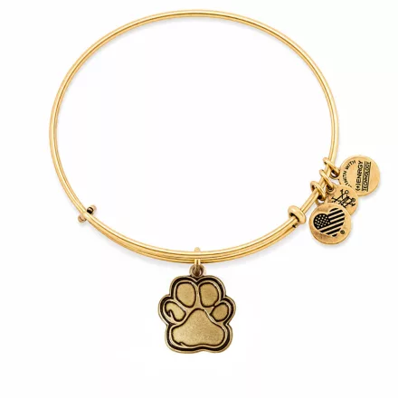 ALEX és ANI női Karkötő JEWELER''S CBD14POLRG