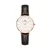 DANIEL WELLINGTON női Quartz óra karóra DW00100232