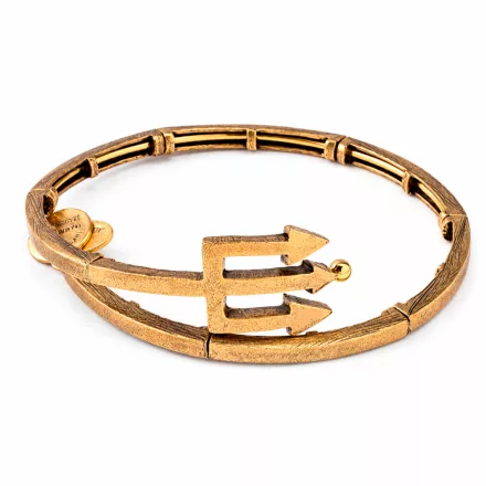 ALEX és ANI női Karkötő JEWELER''S V16W30RG