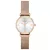 Emporio Armani női óra karóra AR1956 (zi500a)
