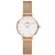 Daniel Wellington női óra karóra DW00100219 (zw501a)