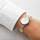 Daniel Wellington női óra karóra DW00100219 (zw501a)