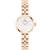 Daniel Wellington női óra karóra DW00100717 (zw522a)