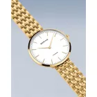 Bering 19334-334 női óra karóra Titanium 34mm 5ATM karóra