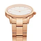 Daniel Wellington DW00100343 női óra karóra Iconic Link 40mm 3ATM  karóra