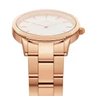 Daniel Wellington DW00100209 női óra karóra Iconic Link 36mm 3ATM  karóra