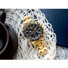 Swiss Alpine Military 7043.9117 chrono 46mm 10ATM karóra
