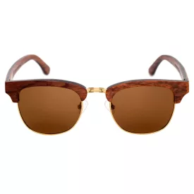 Avery Daintree AVSG710022 férfi napszemüveg