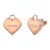 Guess női fülbevaló ékszer JUBE02231JWRGTU